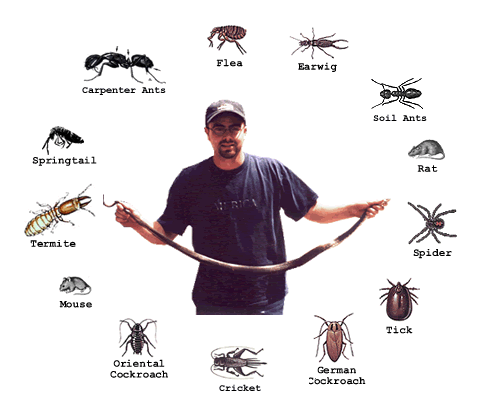 Pest Control Companies
