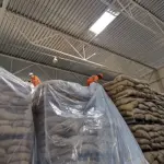 Scorpion Pest Control Service in Dhaka