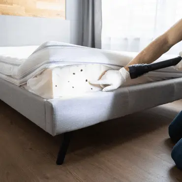 Professional Bed Bug Control Services in Dhaka - Complete Treatment