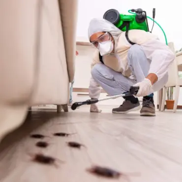 Cockroach Inspection