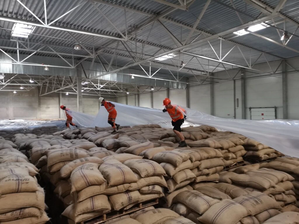 Professional Fumigation Services in Dhaka - Residential & Industrial